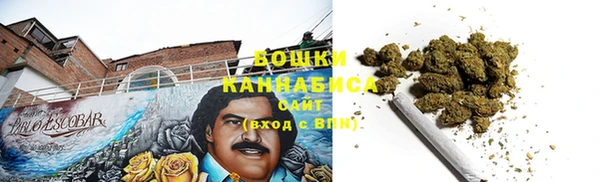 шишки Богданович