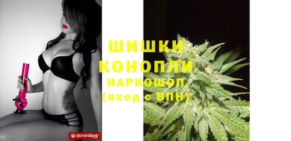 шишки Богданович