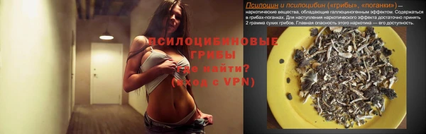 шишки Богданович