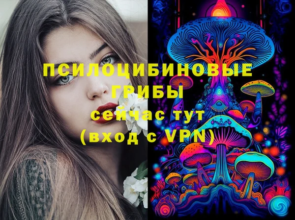 ешки Богородицк