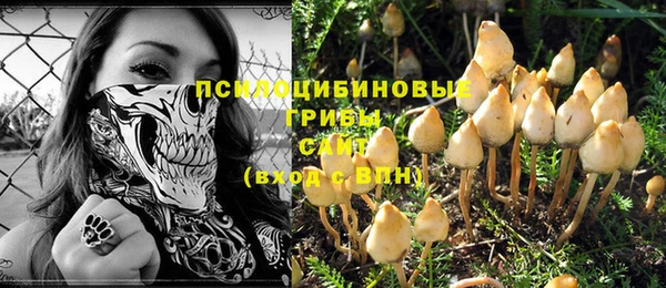 ешки Богородицк