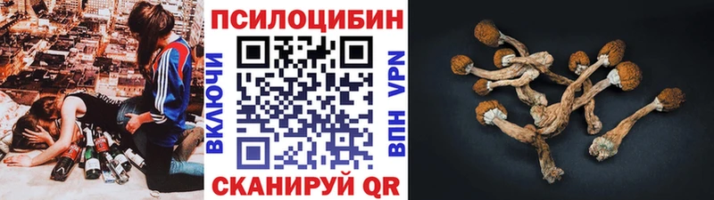 Купить  Бологое  Псилоцибиновые грибы мухоморы 